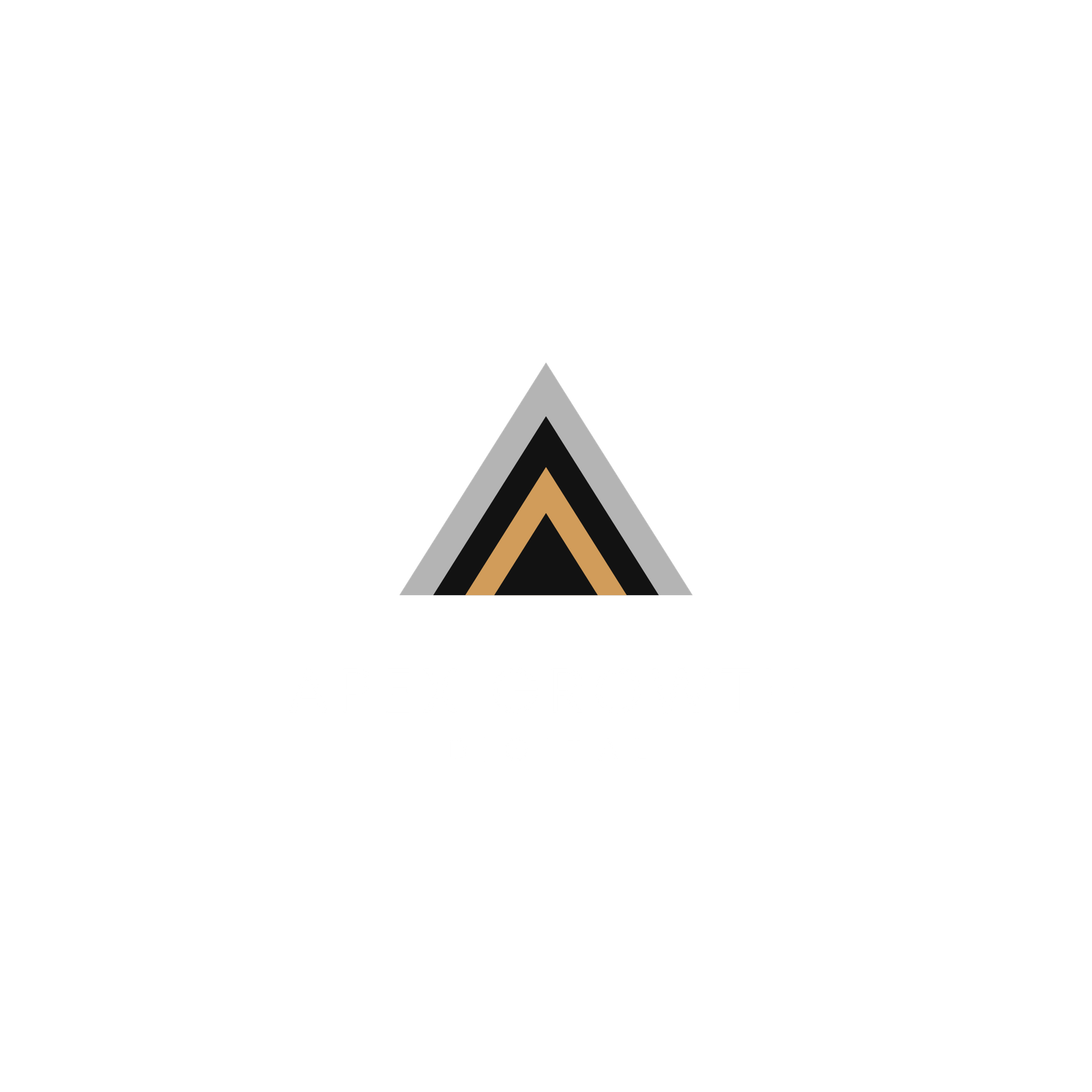 minimalist logo featuring abstract triangle emblem (3)